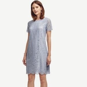 ANN TAYLOR light blue lace dress